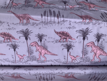 Bio Jersey Dinowelt beigerosa